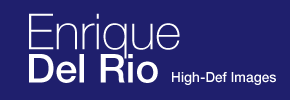 Enrique Del Rio - High-Def Images